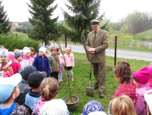 Przedszkolaki sadzą drzewa