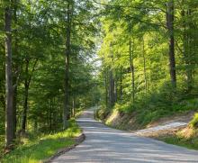 Zasady korzystania z dróg leśnych