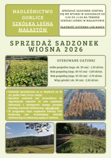 Sprzedaż sadzonek w Nadleśnictwie Gorlice
